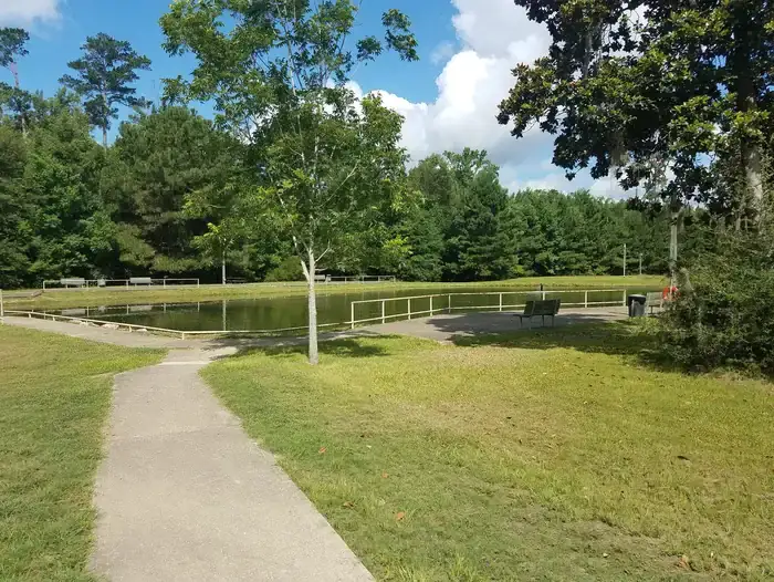 Camper-submitted photo at Magnolia Ridge near Steinhagen Lake