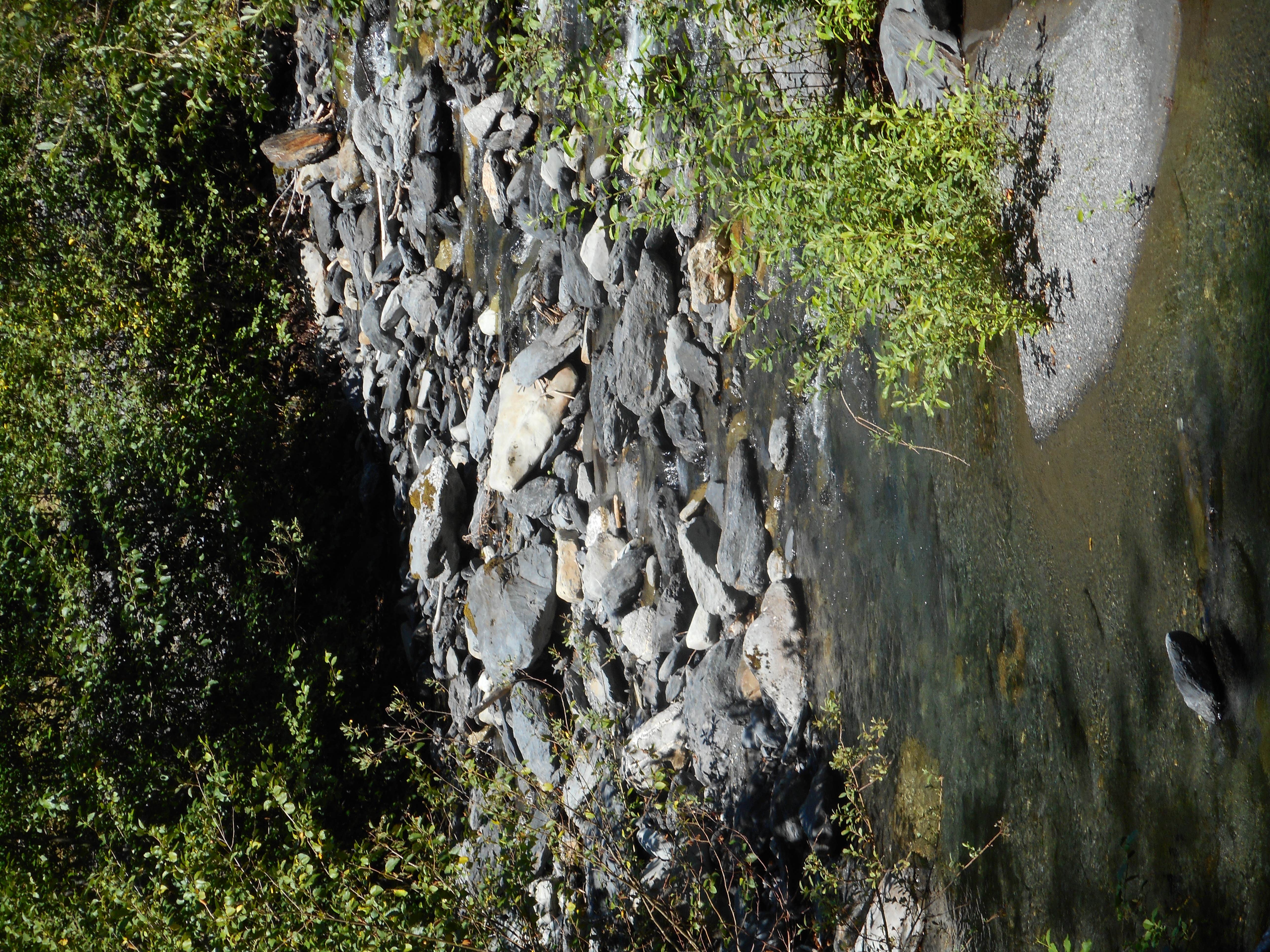 Camper-submitted photo at Enchanted Valley — Olympic National Park near Olympic National Park