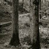 Review photo of East Fork State Park Campground by Christina M., August 24, 2019