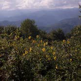 Review photo of Mile High Campground — Great Smoky Mountains National Park by Christina M., August 24, 2019