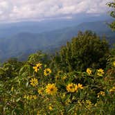 Review photo of Mile High Campground — Great Smoky Mountains National Park by Christina M., August 24, 2019