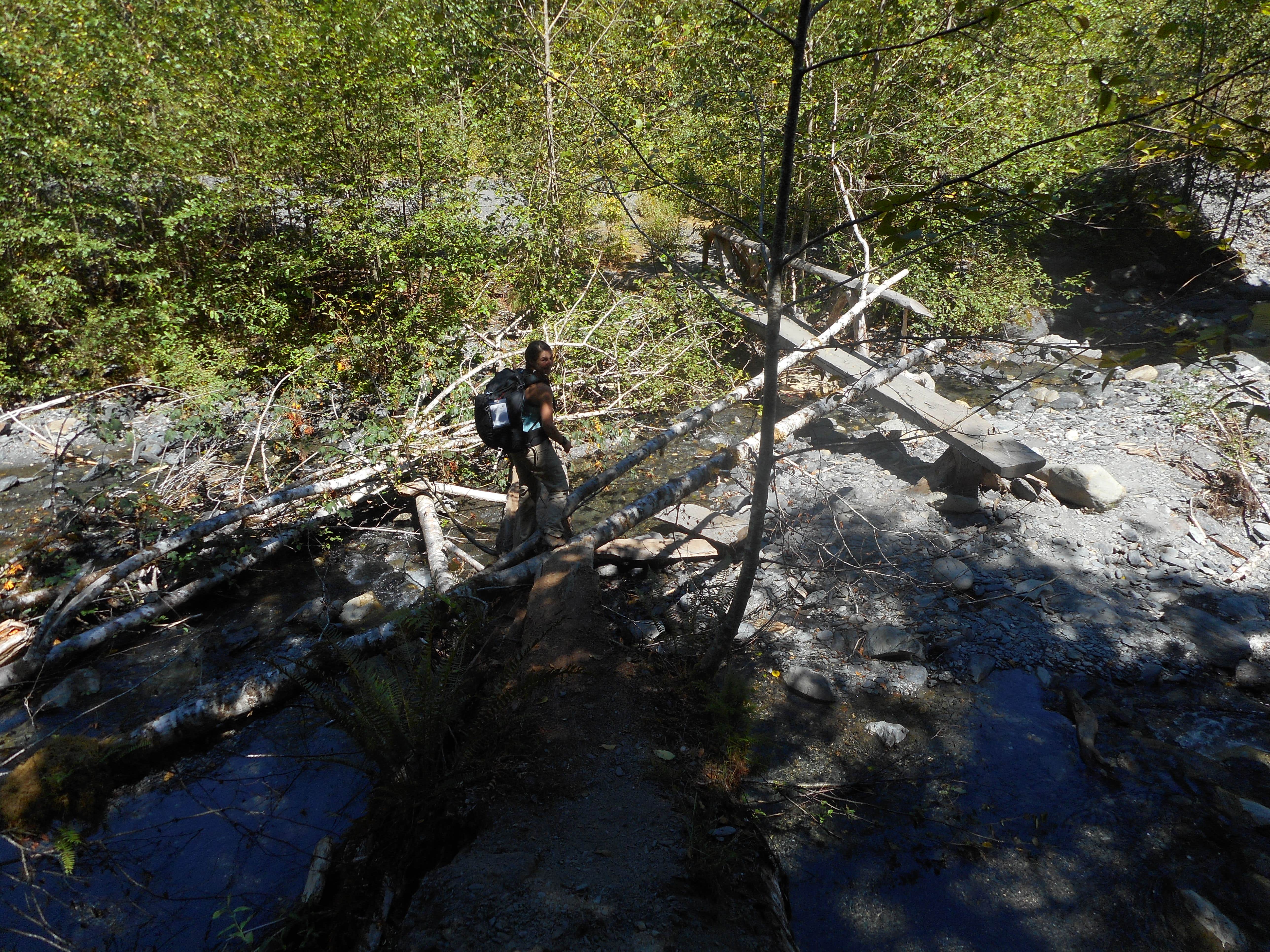 Camper submitted image from Enchanted Valley — Olympic National Park - 3