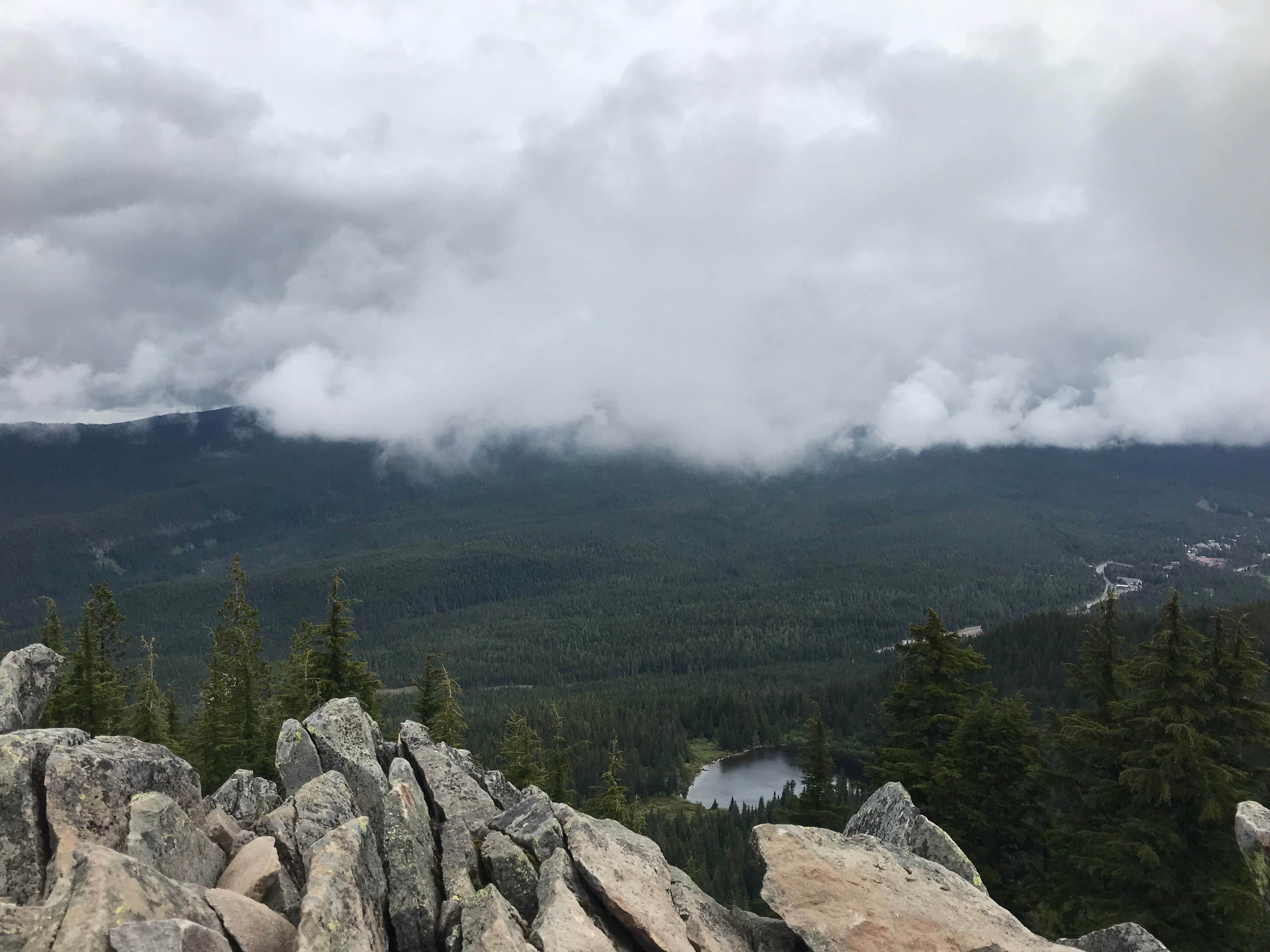 Nature