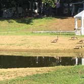 Review photo of Tuxbury Pond RV Campground by Betty H., August 24, 2019