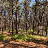 Review photo of Adventure Bound Camping Resorts Cape Cod: North Truro by Amy B., August 24, 2019