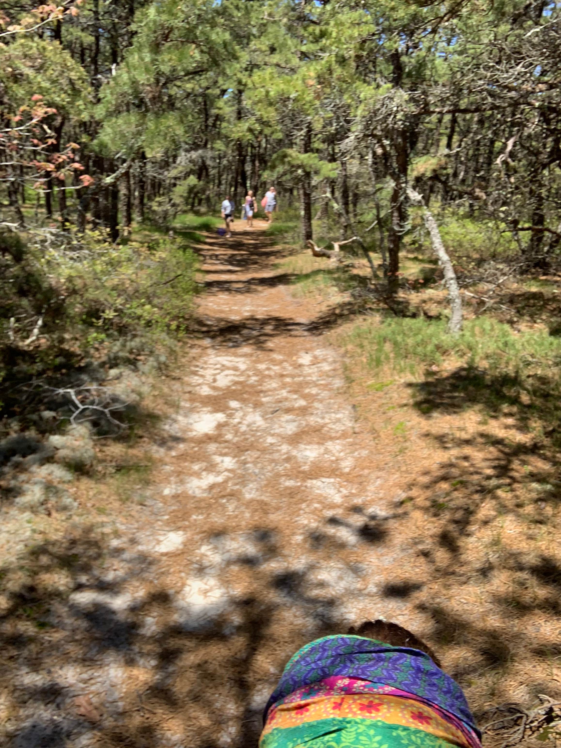 Camper-submitted photo at Adventure Bound Camping Resorts Cape Cod: North Truro near Orleans, MA