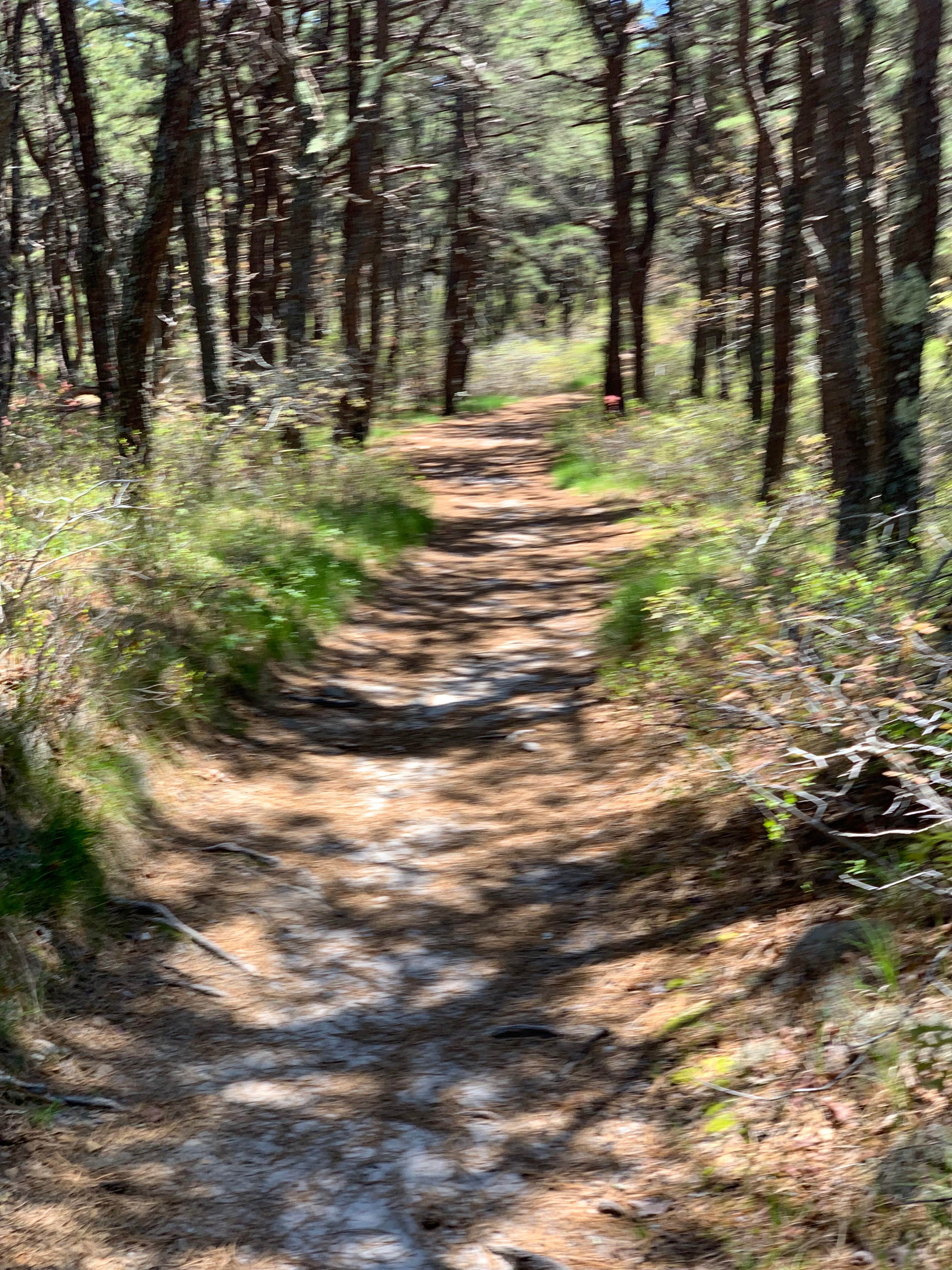 Camper-submitted photo at Adventure Bound Camping Resorts Cape Cod: North Truro near Orleans, MA