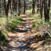 Review photo of Adventure Bound Camping Resorts Cape Cod: North Truro by Amy B., August 24, 2019