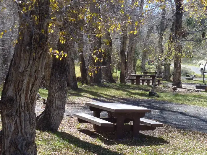 Camping near Panguitch Lake Resort: White Bridge, Panguitch, Utah