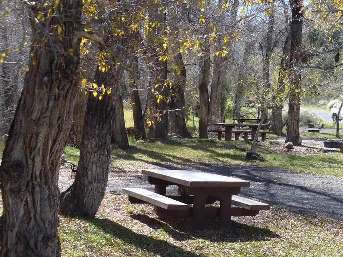 Camper submitted image from White Bridge - 1