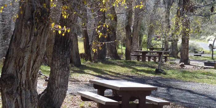 Camper submitted image from White Bridge