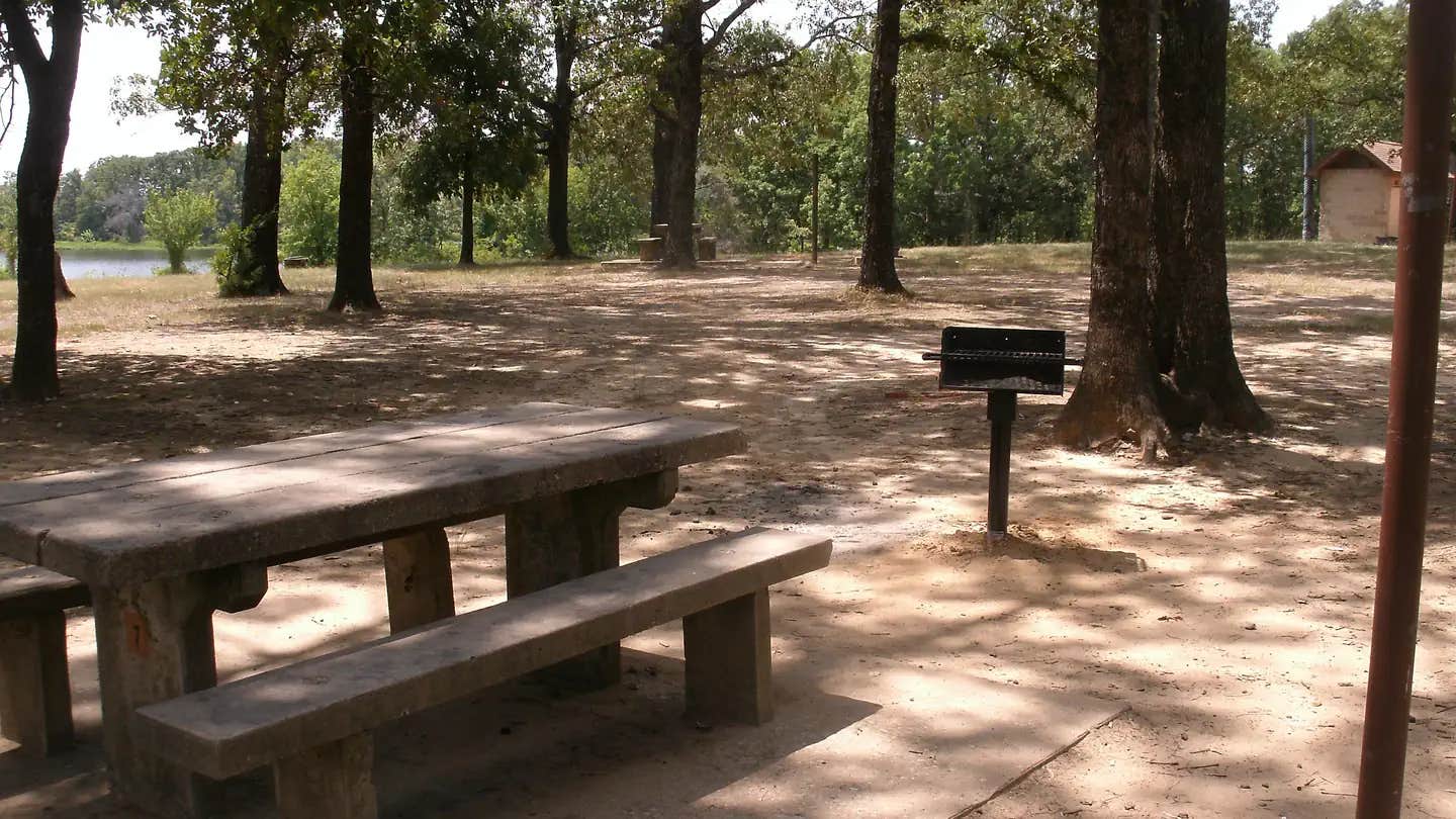 Camper submitted image from Coffee Mill Lake Recreation Area - 1