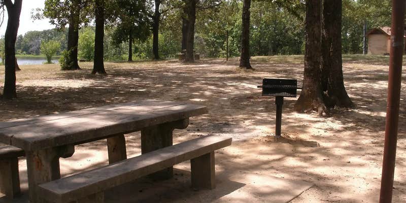 Camper submitted image from Coffee Mill Lake Recreation Area