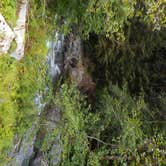 Review photo of Enchanted Valley — Olympic National Park by Tom K., September 27, 2016