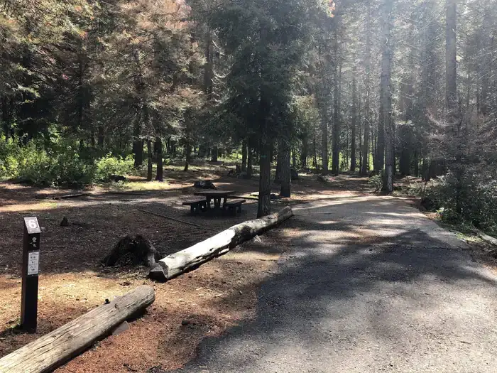 Camping near Sagehen Creek: Eastside, Ola, Idaho