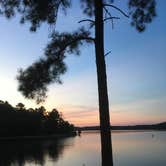 Review photo of Elijah Clark State Park Campground by Susan H., August 24, 2019
