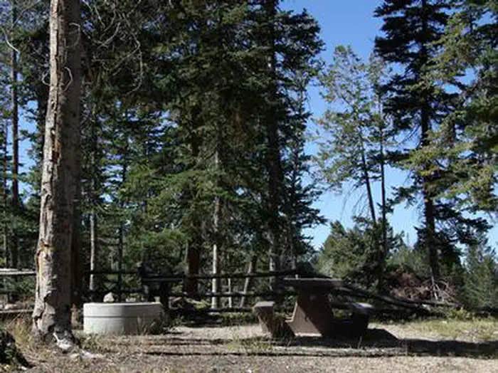 Camper submitted image from Avintaquin Campground - 1