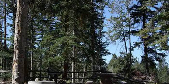 Camper submitted image from Avintaquin Campground