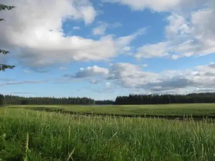 Camper-submitted photo at Big John Bay Cabin near Tongass National Forest
