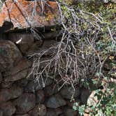 Review photo of Uinta Canyon by Kam L., September 25, 2016