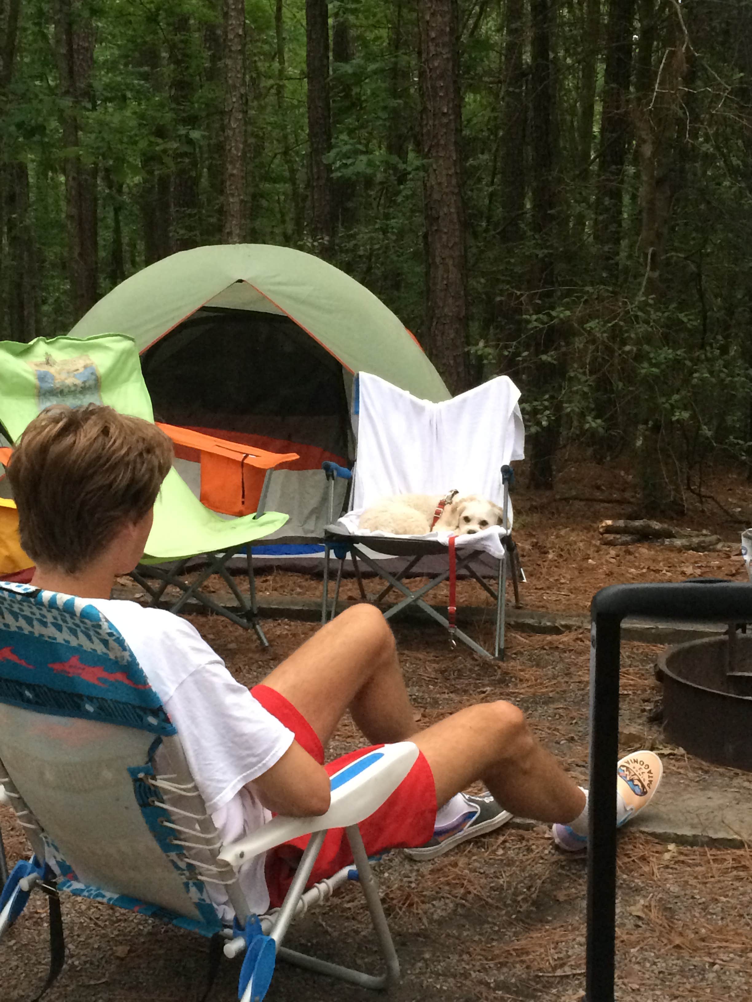 J P.'s photo at Poplar Point Campground — Jordan Lake State Recreation Area near Carrboro, NC