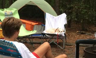 J P.'s photo at Poplar Point Campground — Jordan Lake State Recreation Area near Saxapahaw, NC