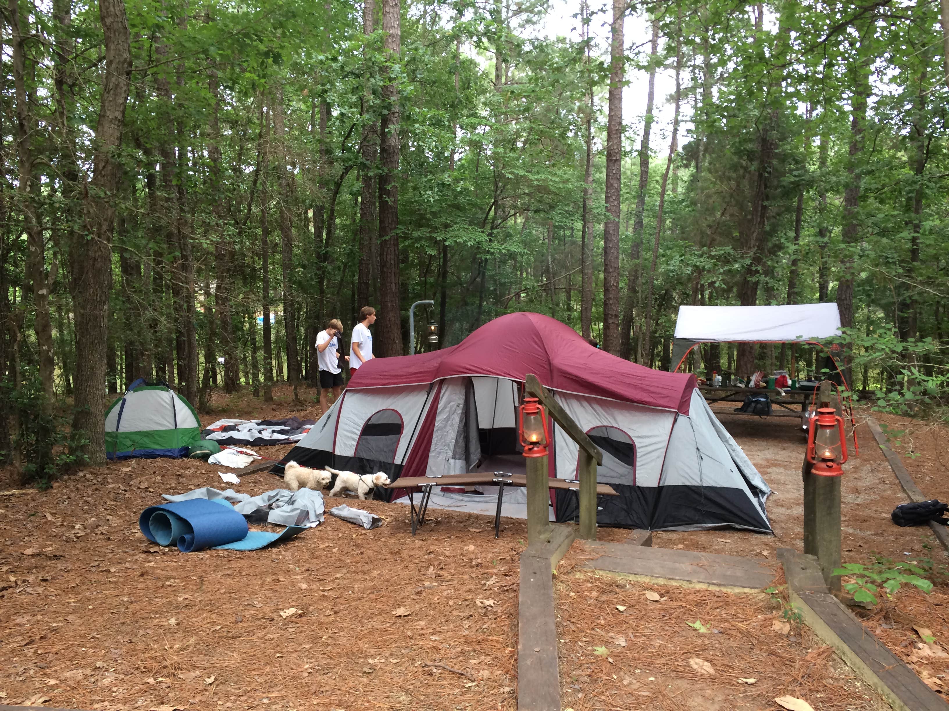 J P.'s photo at Poplar Point Campground — Jordan Lake State Recreation Area near Apex, NC