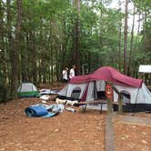 Review photo of Poplar Point Campground — Jordan Lake State Recreation Area by J P., August 24, 2019