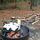 Review photo of Poplar Point Campground — Jordan Lake State Recreation Area by J P., August 24, 2019