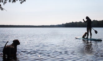 Little Brevort Lake - South State Forest Campground