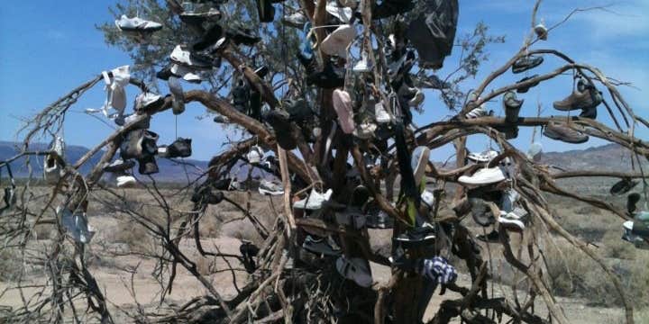 Camper submitted image from Glamis North Hot Springs Resort