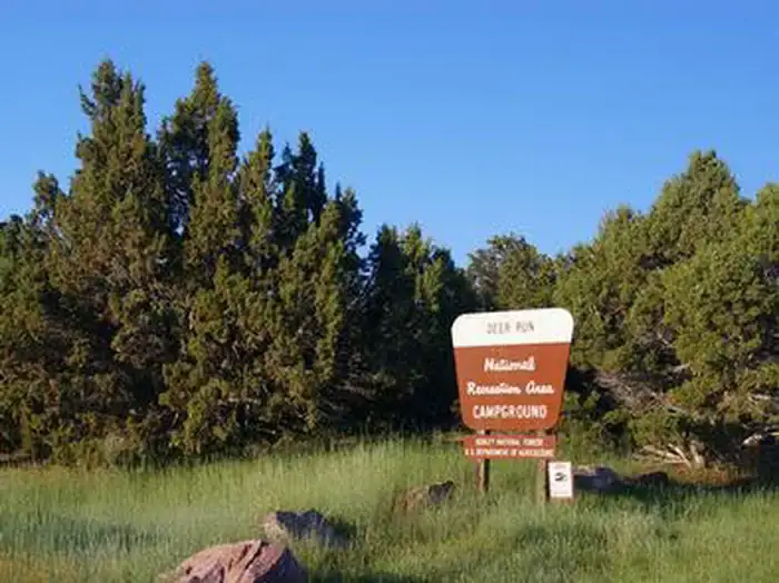 Camper-submitted photo at Deer Run Campground near Flaming Gorge, UT