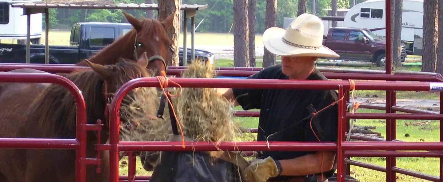 Camper submitted image from Ebenezer Park - 1