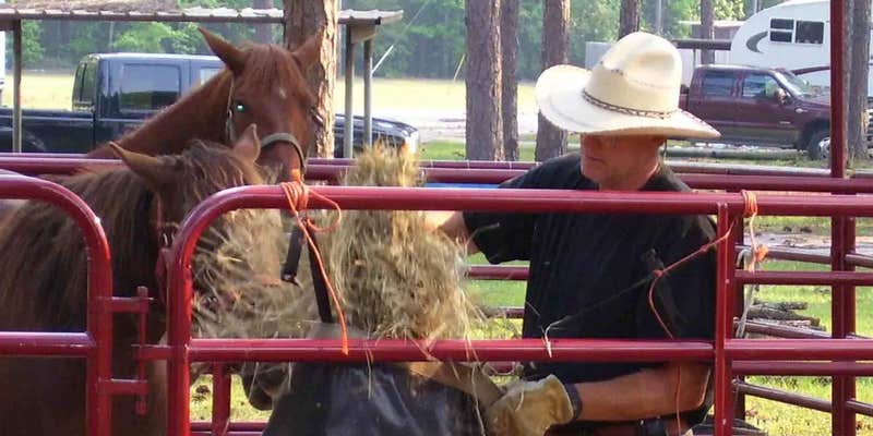 Camper submitted image from Ebenezer Park