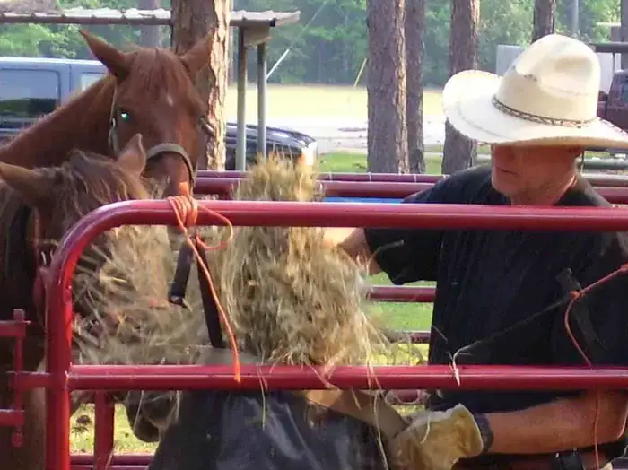 Camper-submitted photo at Ebenezer Park near Pineland, TX