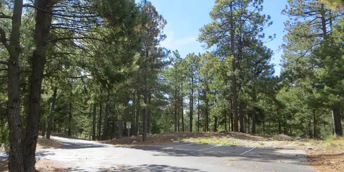 Camper submitted image from Whitetail Campground