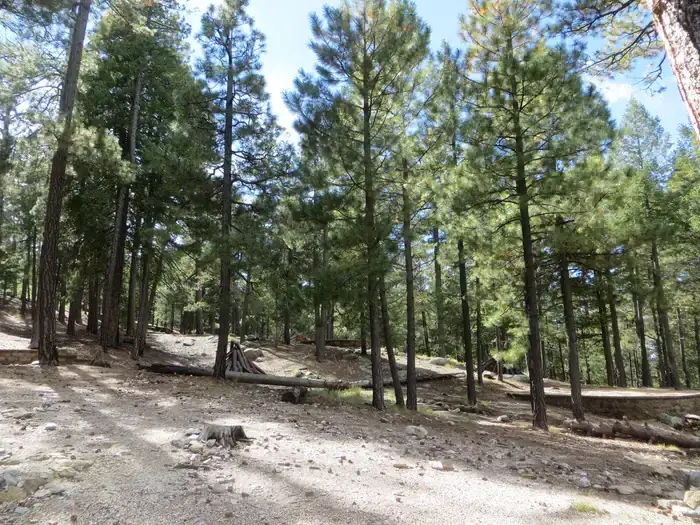 Camper-submitted photo at Whitetail Campground near San Manuel, AZ