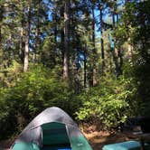 Review photo of Jessie M. Honeyman Memorial State Park Campground by Jen E., August 24, 2019