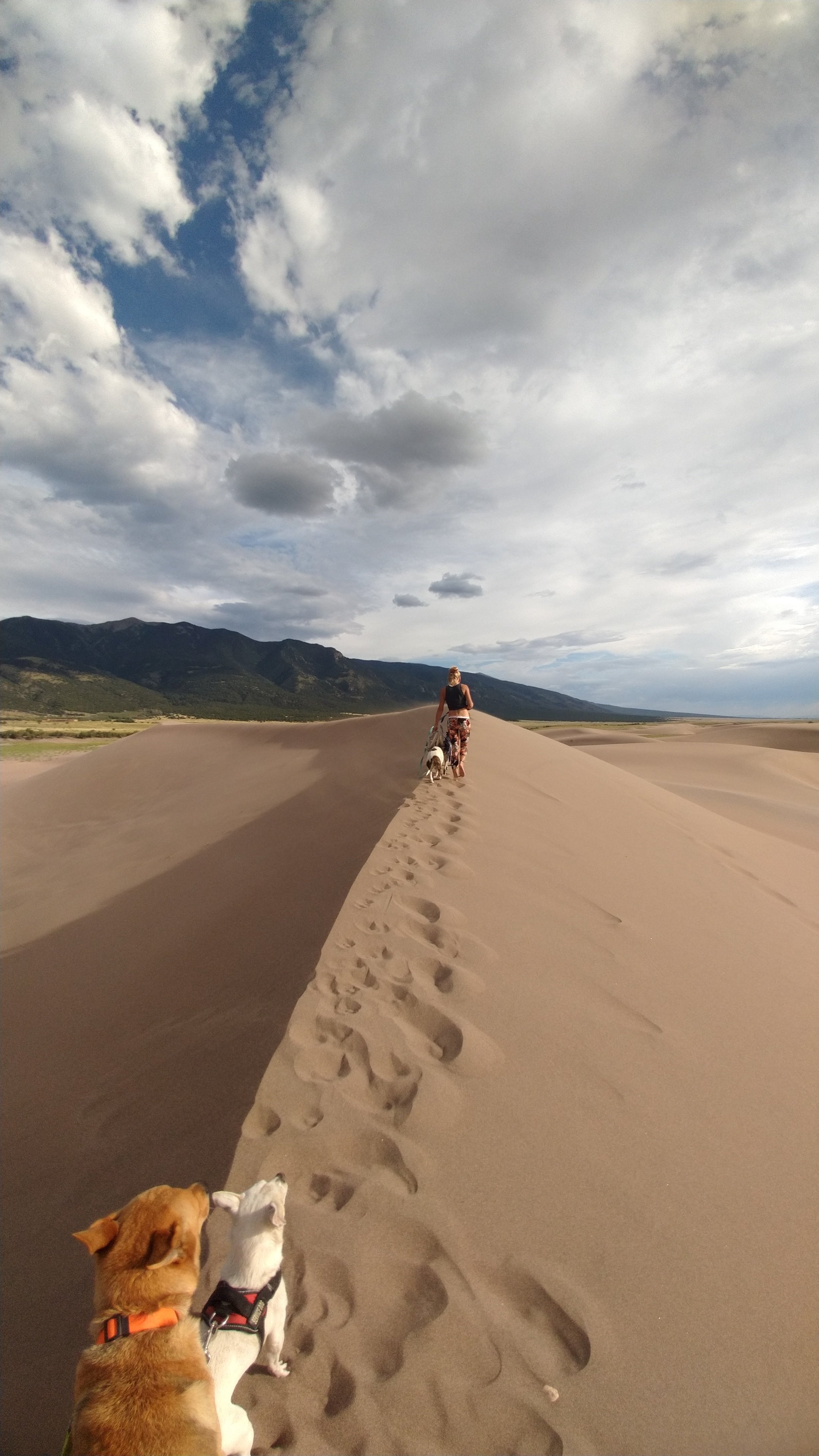 Camper submitted image from The Dunefield — Great Sand Dunes National Park - 4