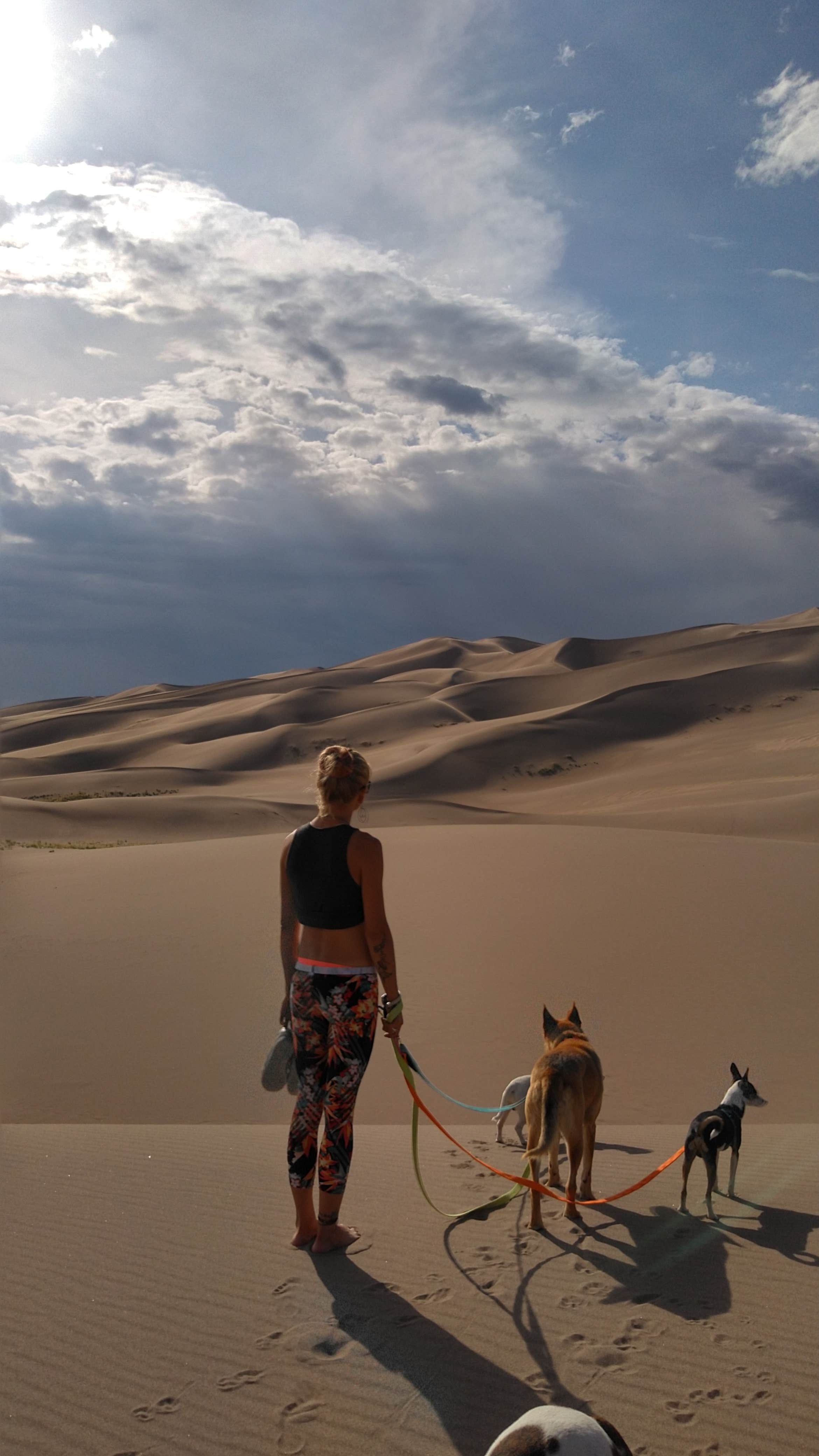 Camper-submitted photo at The Dunefield — Great Sand Dunes National Park near Mosca, CO