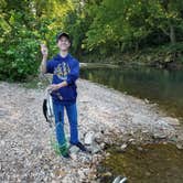 Review photo of Roaring River State Park Campground by Jason C., August 24, 2019