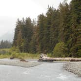 Review photo of Hoh Rain Forest - Olympic National Park by Tom K., September 27, 2016
