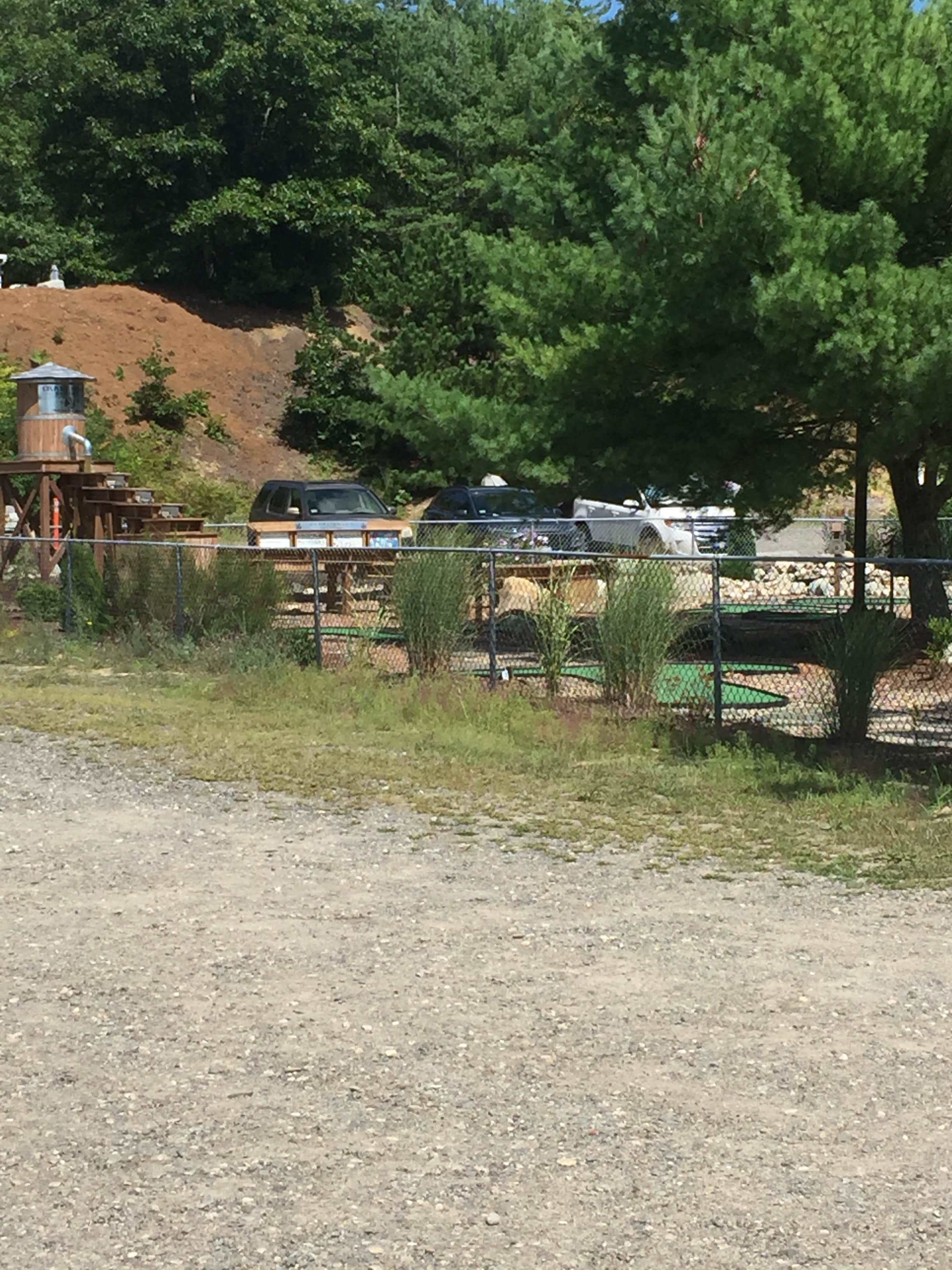 Camper submitted image from Jellystone Park™ Cranberry Acres - 5