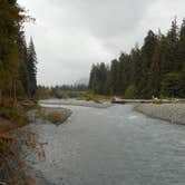 Review photo of Hoh Rain Forest - Olympic National Park by Tom K., September 27, 2016