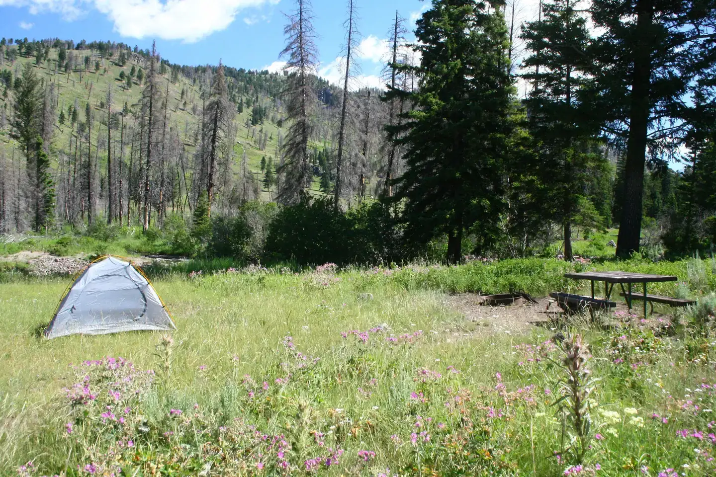 Camping near Tower Fall Campground — Yellowstone National Park: Slough Creek Campground — Yellowstone National Park, Silver Gate, Wyoming