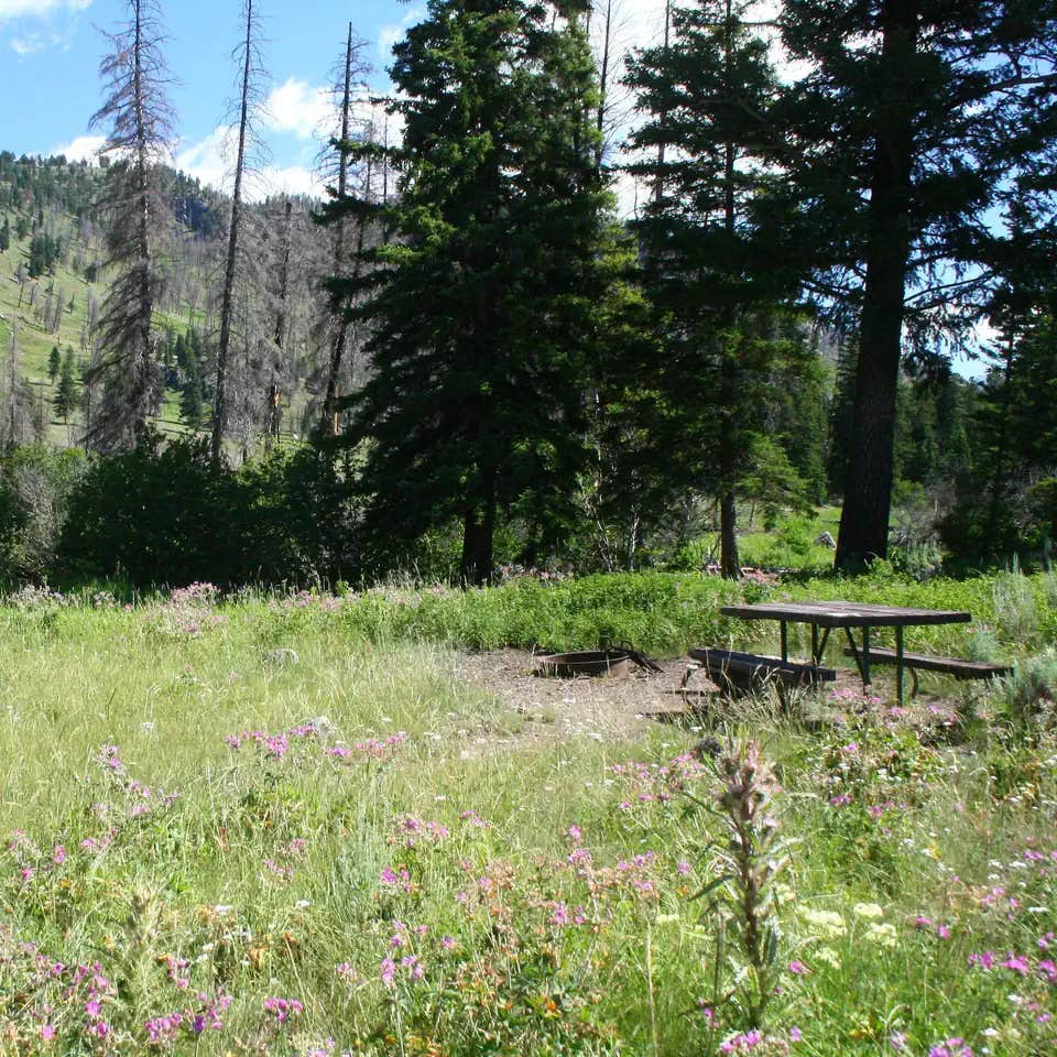Slough Creek Campground — Yellowstone National Park