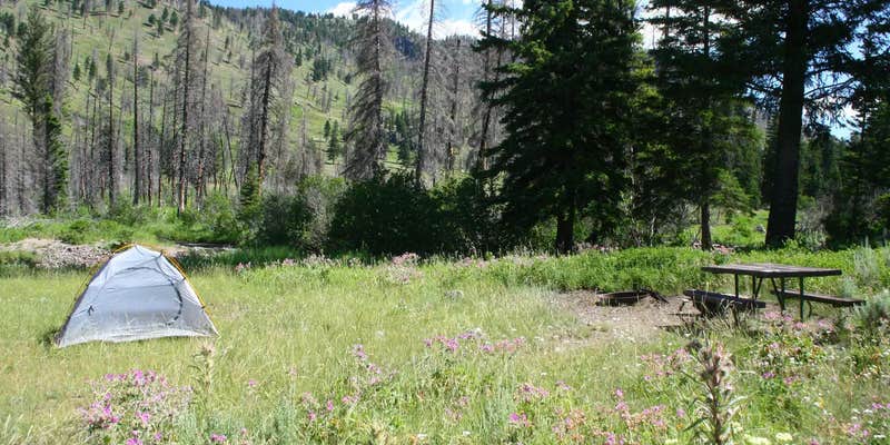Camper submitted image from Slough Creek Campground — Yellowstone National Park