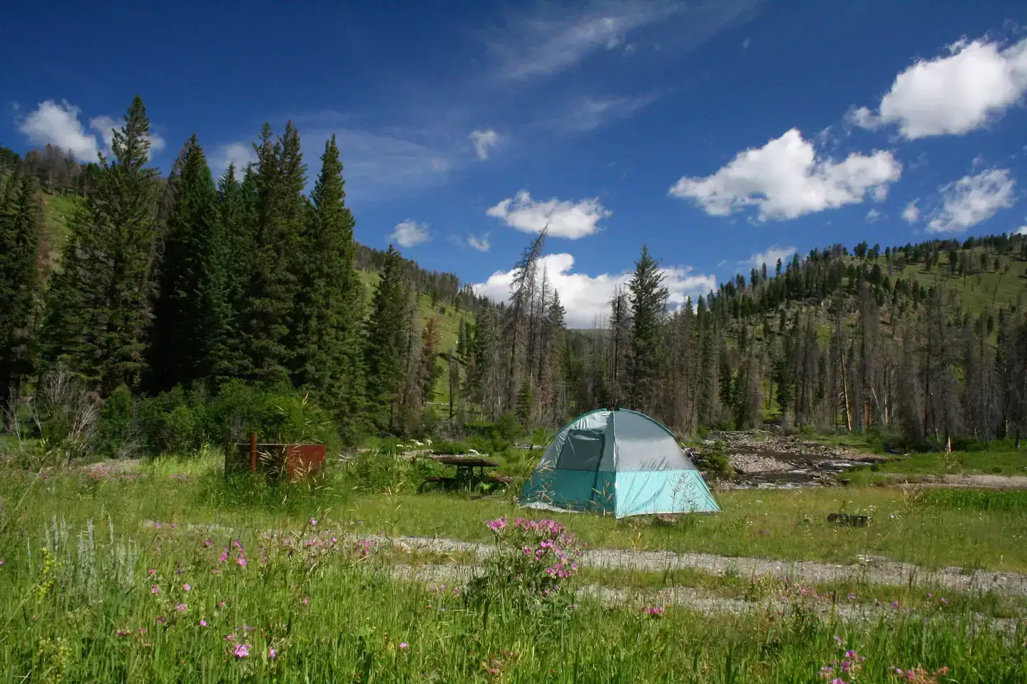 Camper-submitted photo at Slough Creek Campground — Yellowstone National Park near Yellowstone National Park