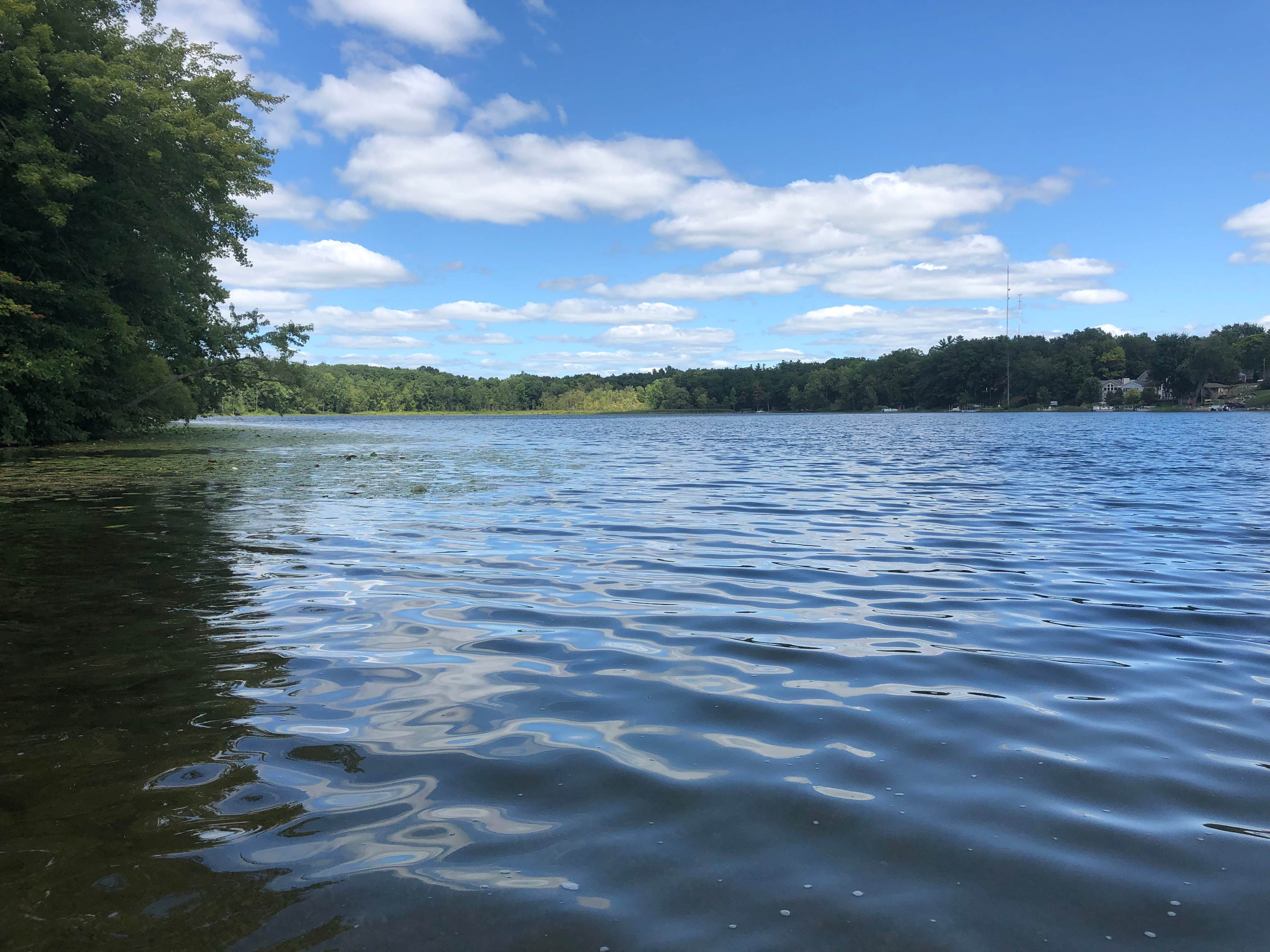 Camper-submitted photo at Ortonville Equestrian Campground — Ortonville Recreation Area near Goodells, MI