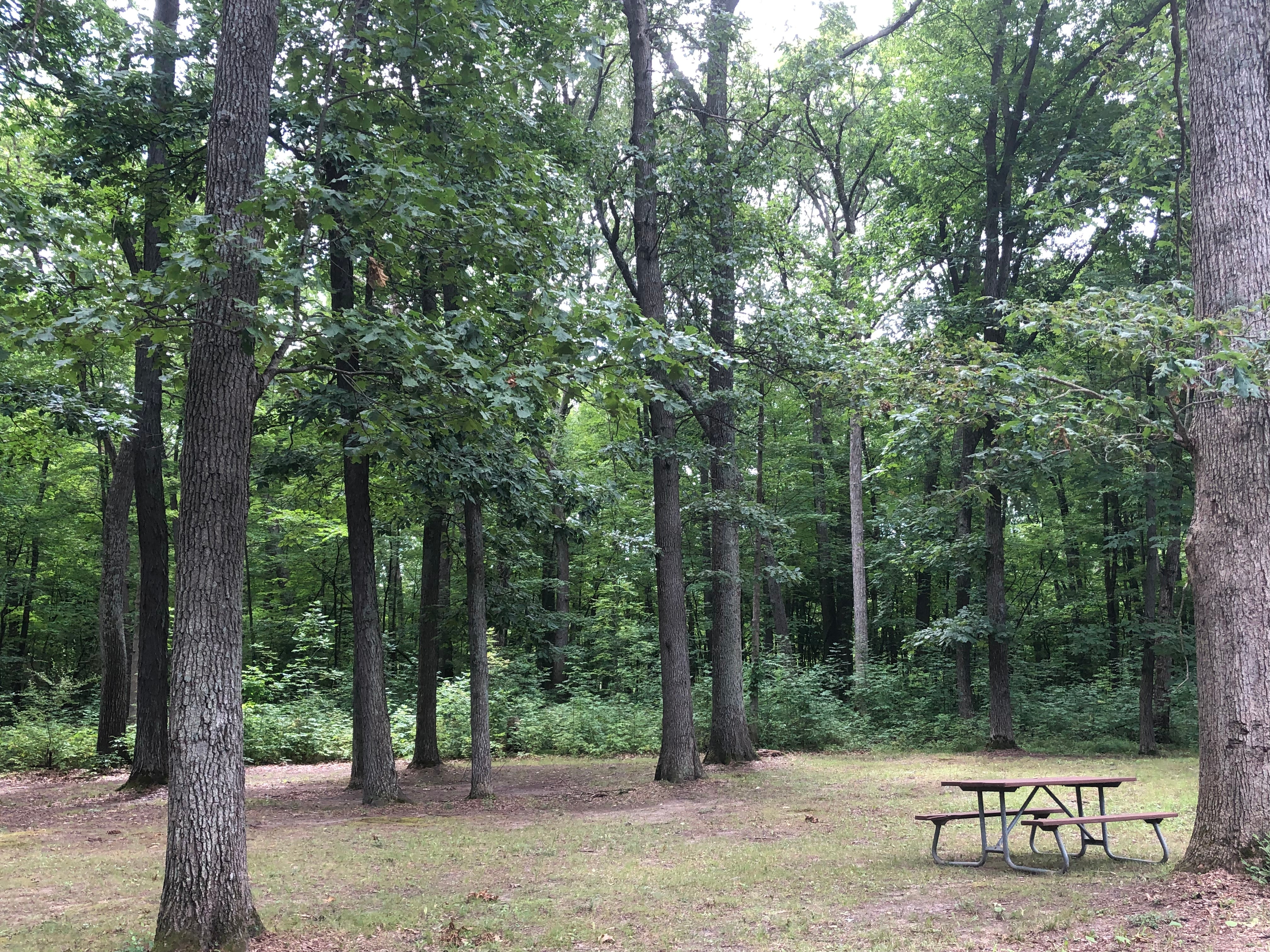 Camper submitted image from Ortonville Equestrian Campground — Ortonville Recreation Area - 3